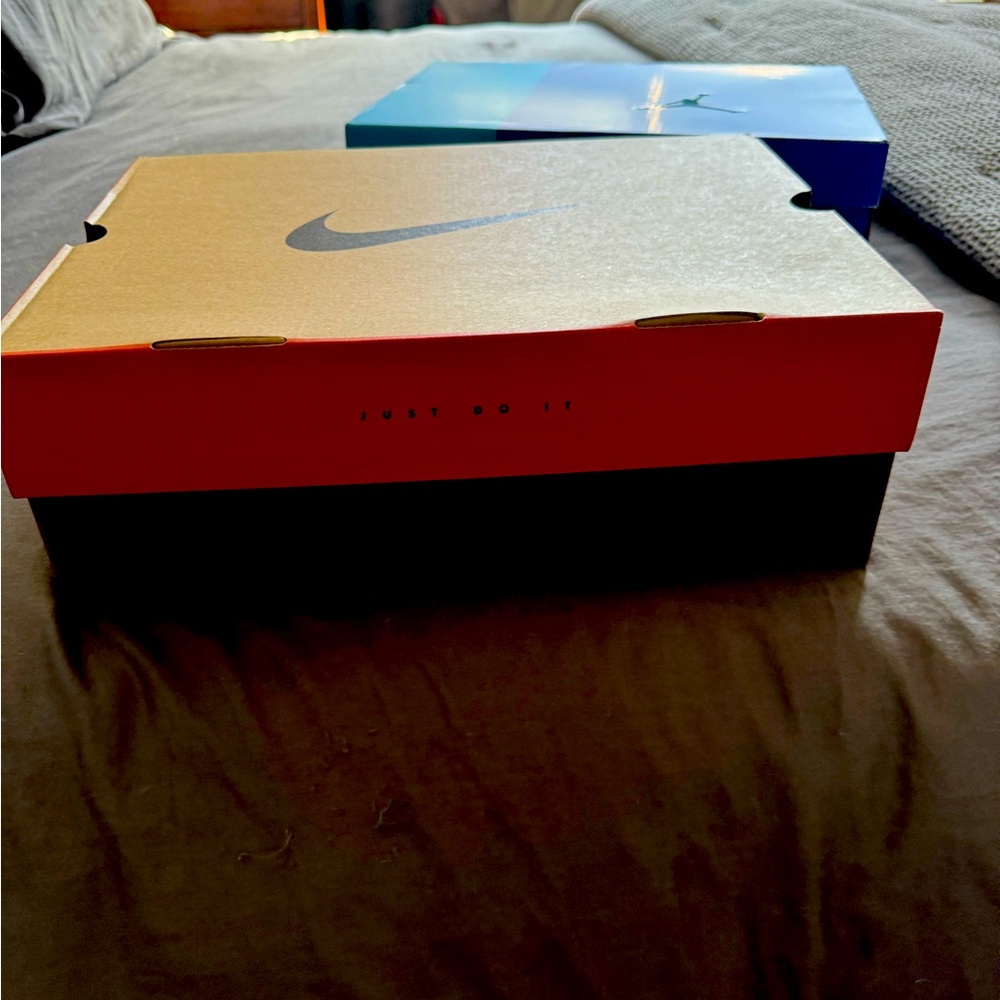 Jordan 12 Cherry (Worn Once)